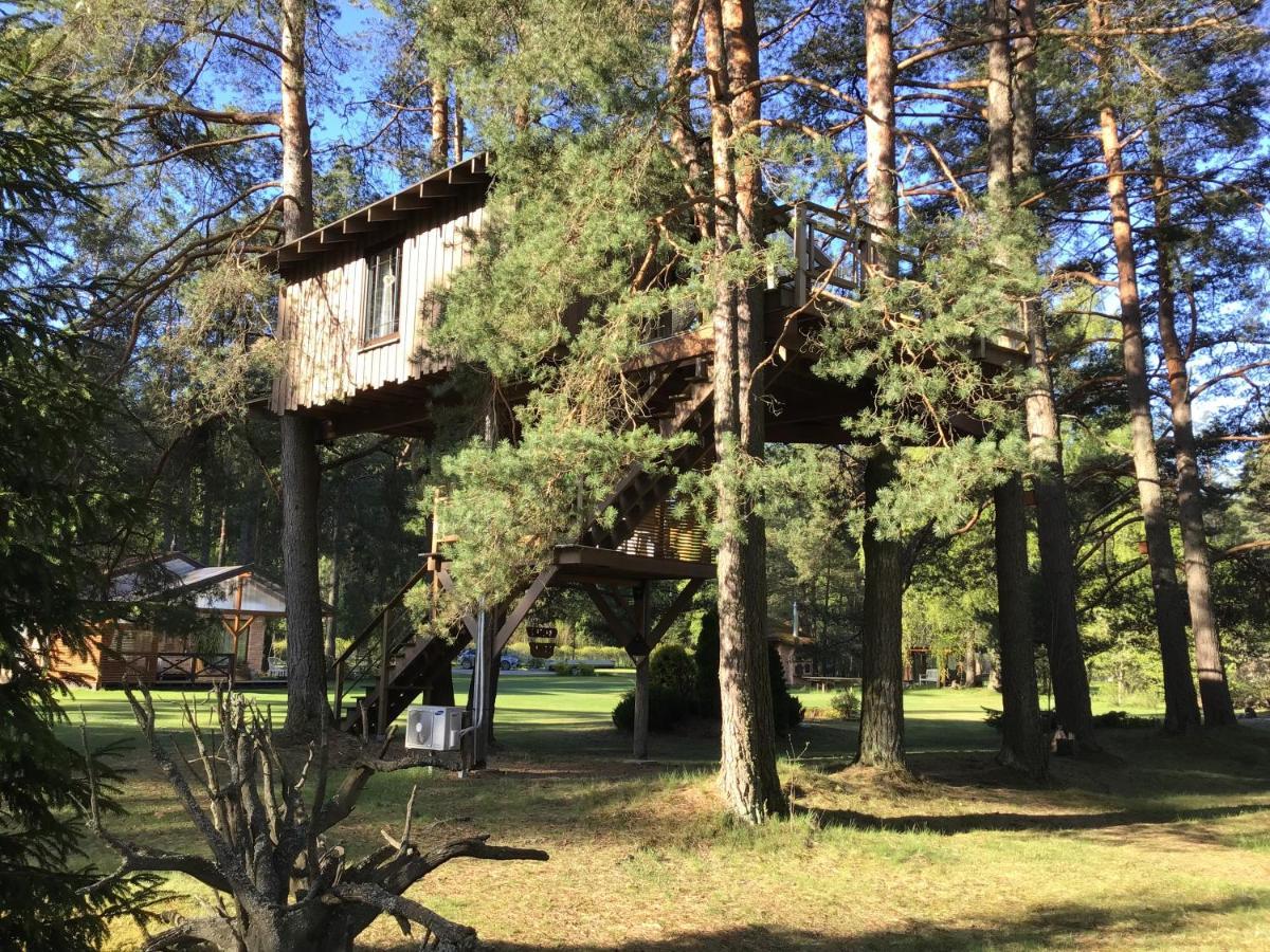 Vila Treehouse Čiekurs Dukuri Exteriér fotografie