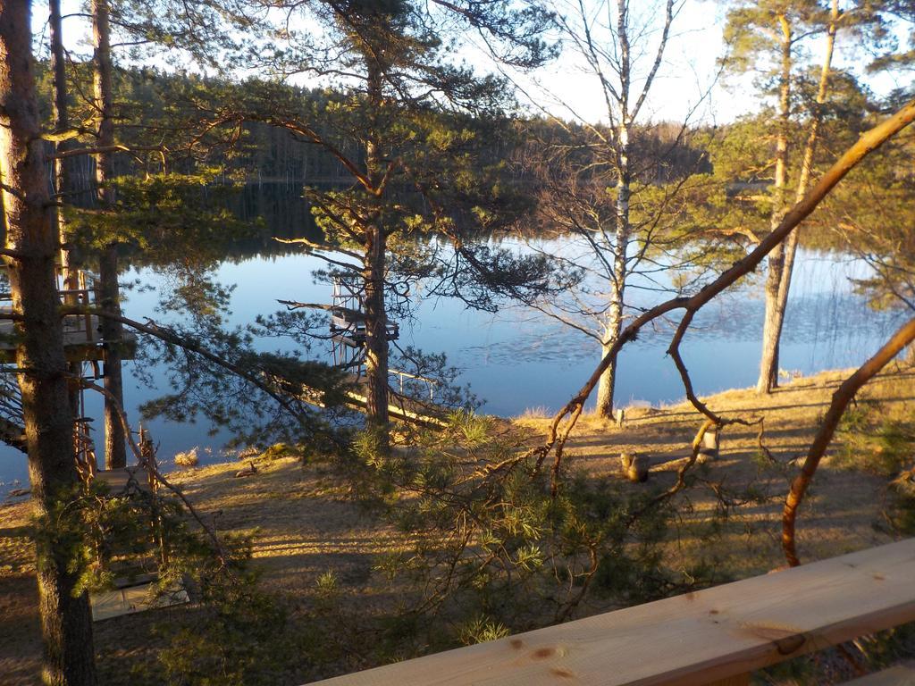 Vila Treehouse Čiekurs Dukuri Exteriér fotografie